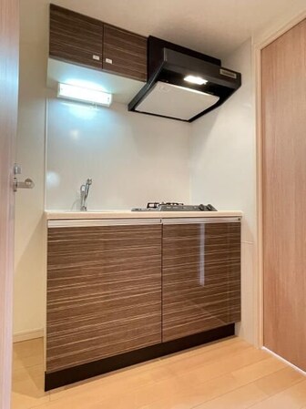 スカイコートパレス溝の口の物件内観写真